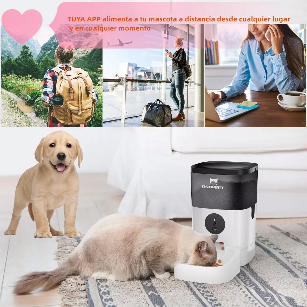 Alimentador Automático De 4l P/perros Y Gatos Con Wifi App - Metacompras
