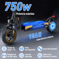 Scooter Eléctrico T4A Honey Whale 600W Plegable, 45km/h y 35km de Autonomía