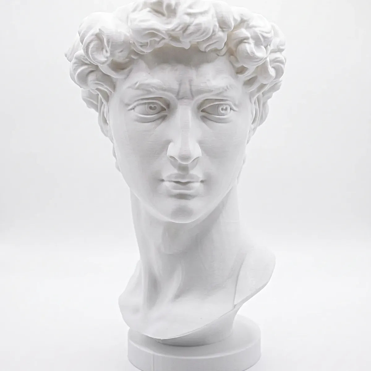 Maceta Busto David con Autorriego y Drenaje para Decoración 19cm