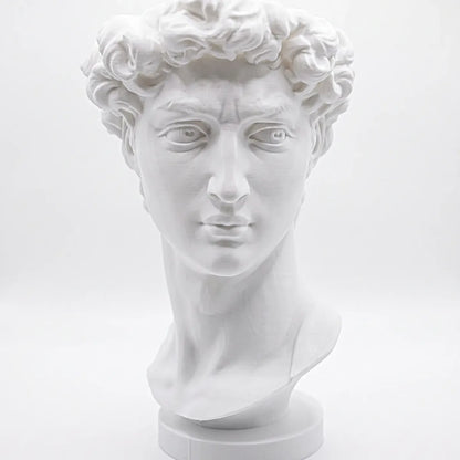 Maceta Busto David con Autorriego y Drenaje para Decoración 19cm