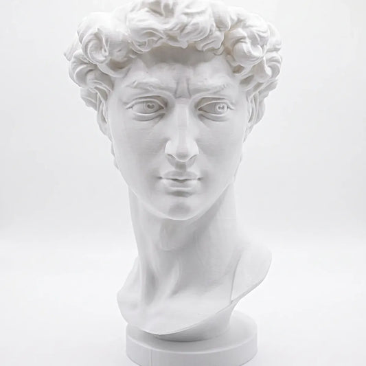 Maceta Busto David con Autorriego y Drenaje para Decoración 19cm