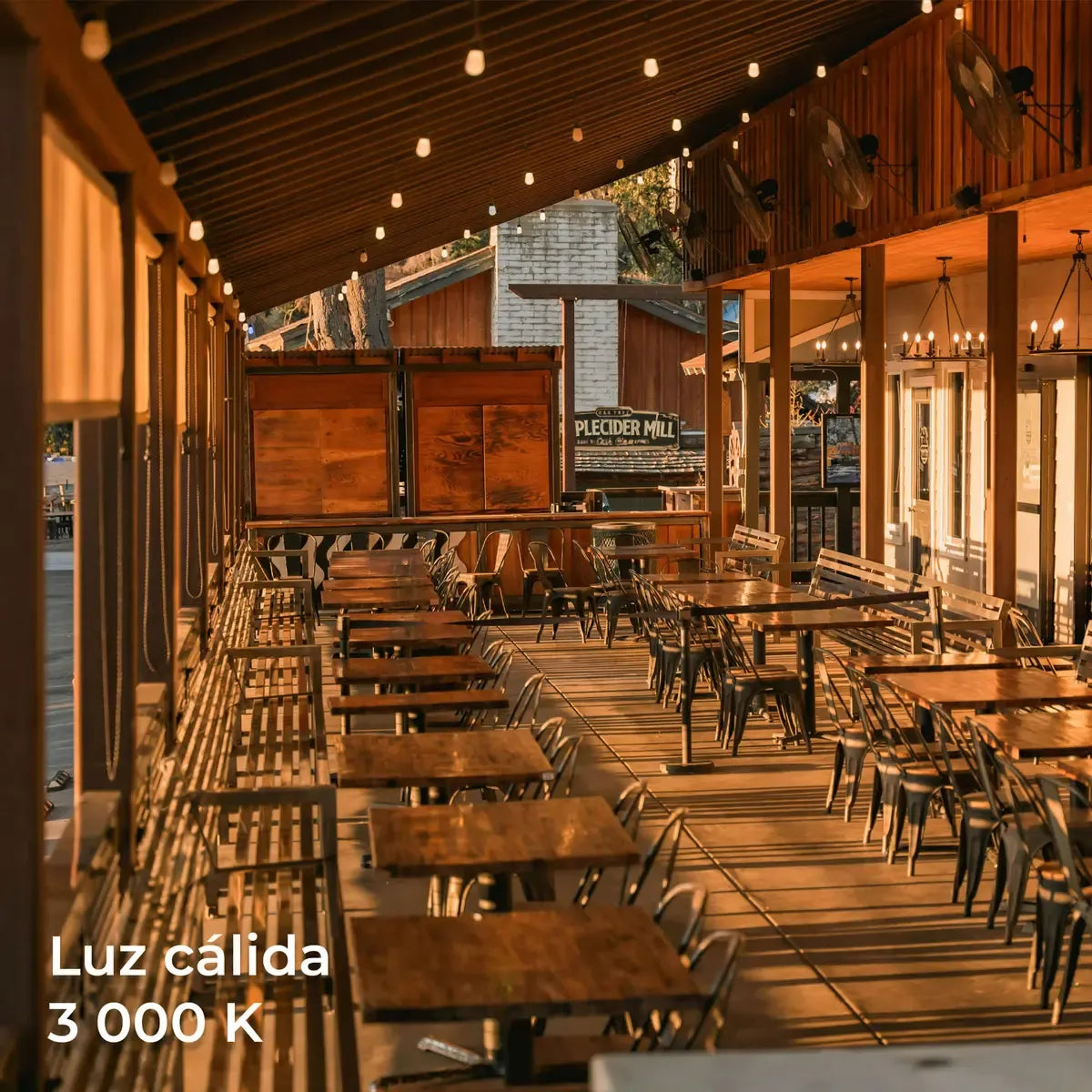 Serie de Luces Vintage LED 15 Focos 14.6m para Jardines y Eventos