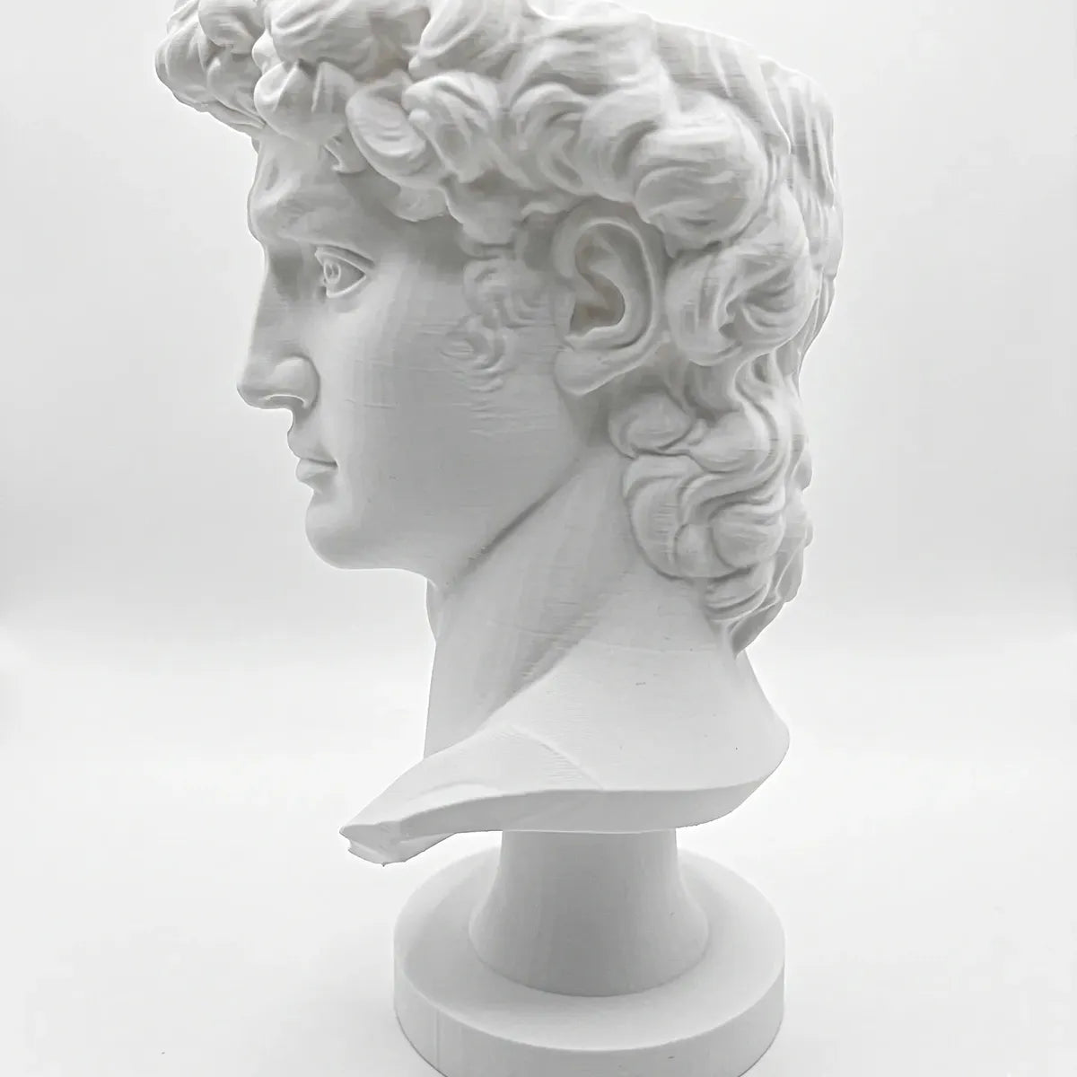 Maceta Busto David con Autorriego y Drenaje para Decoración 19cm