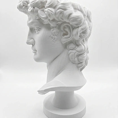 Maceta Busto David con Autorriego y Drenaje para Decoración 19cm