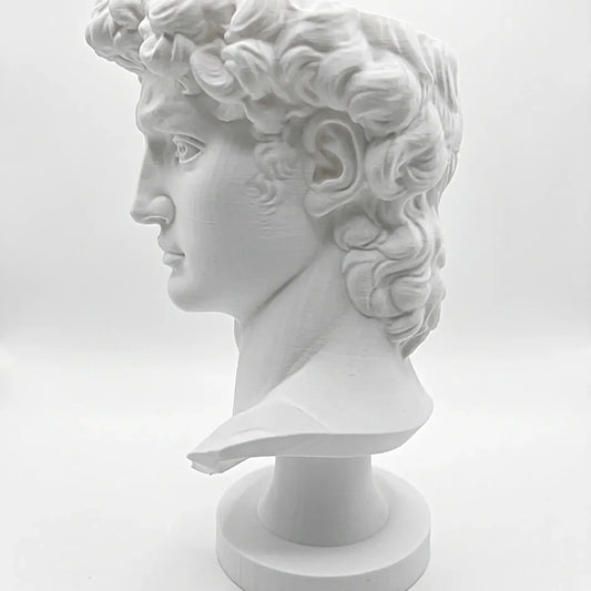 Maceta Busto David con Autorriego y Drenaje para Decoración 19cm