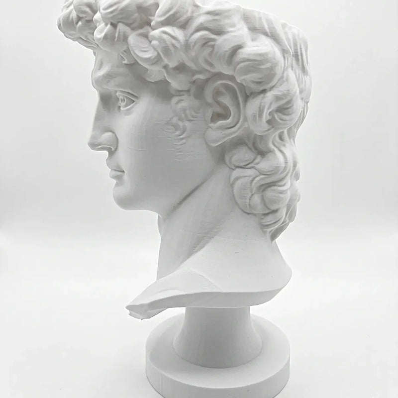 Maceta Busto David con Autorriego y Drenaje para Decoración 19cm