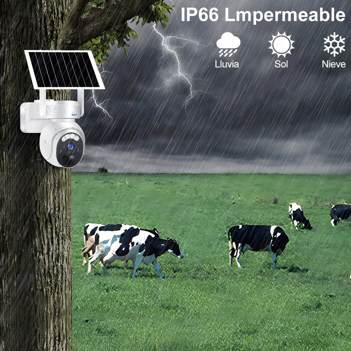 Cámara de Seguridad Solar 4G para Exteriores con Tarjeta SIM incluida - Metacompras