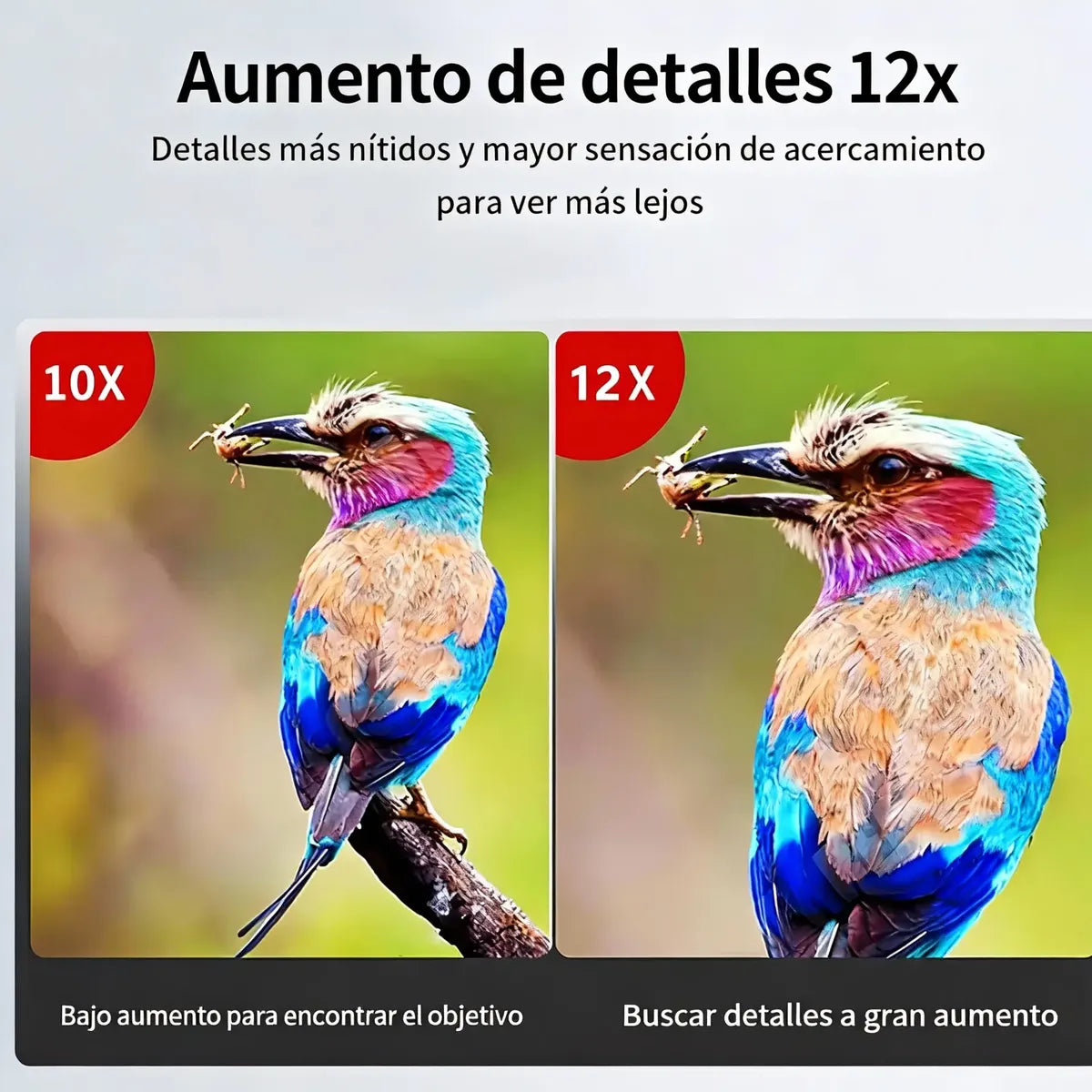 Binoculares HD 100x100 con Clip para Móvil y Visión Nocturna