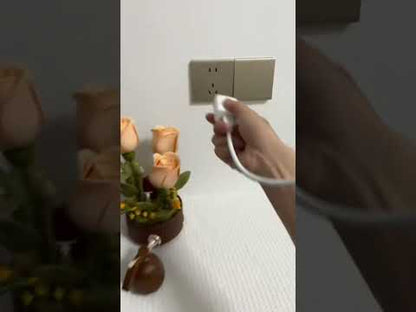 Proyector de Estrellas Luz Nocturna USB para Techo y Relax